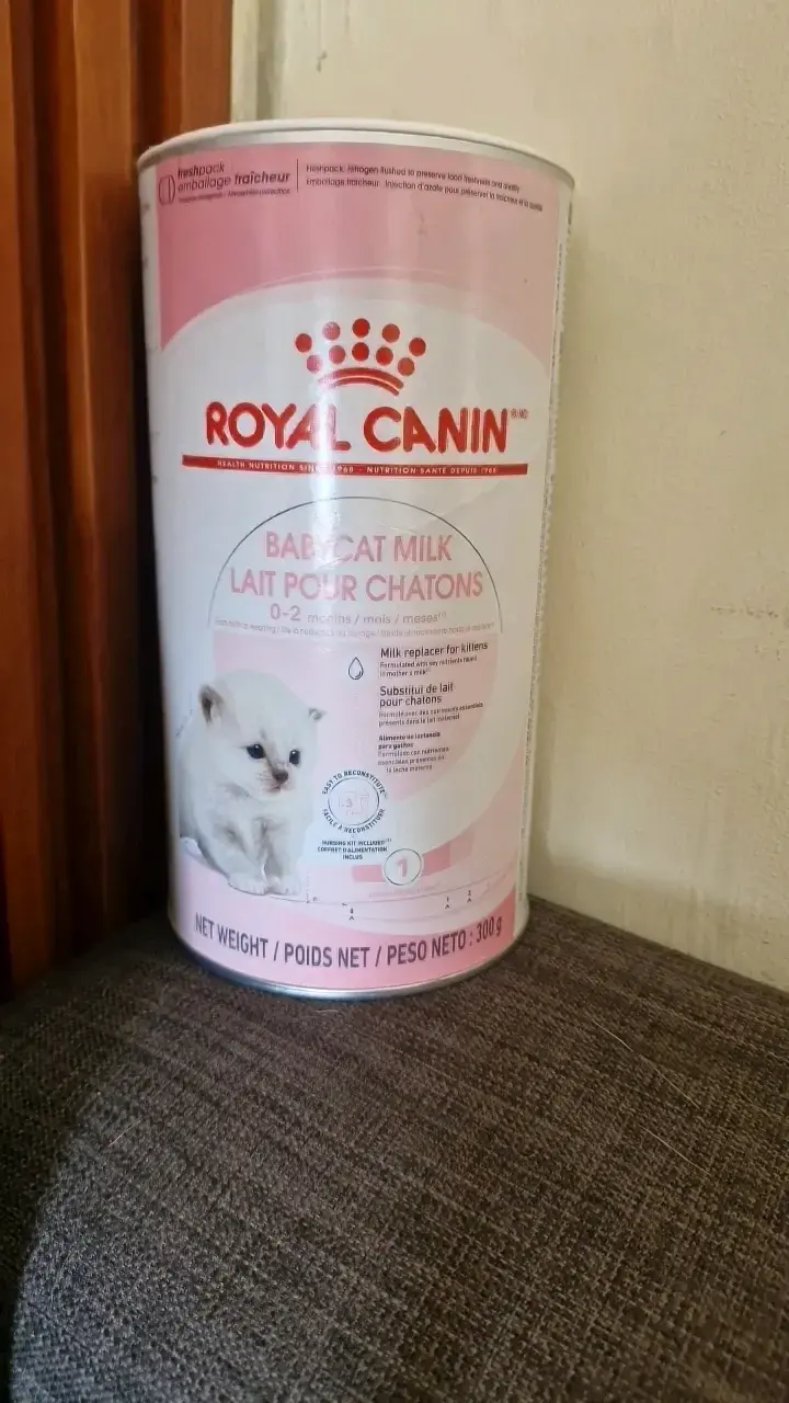 Leche para gatitos Royal Canin 300g - 2