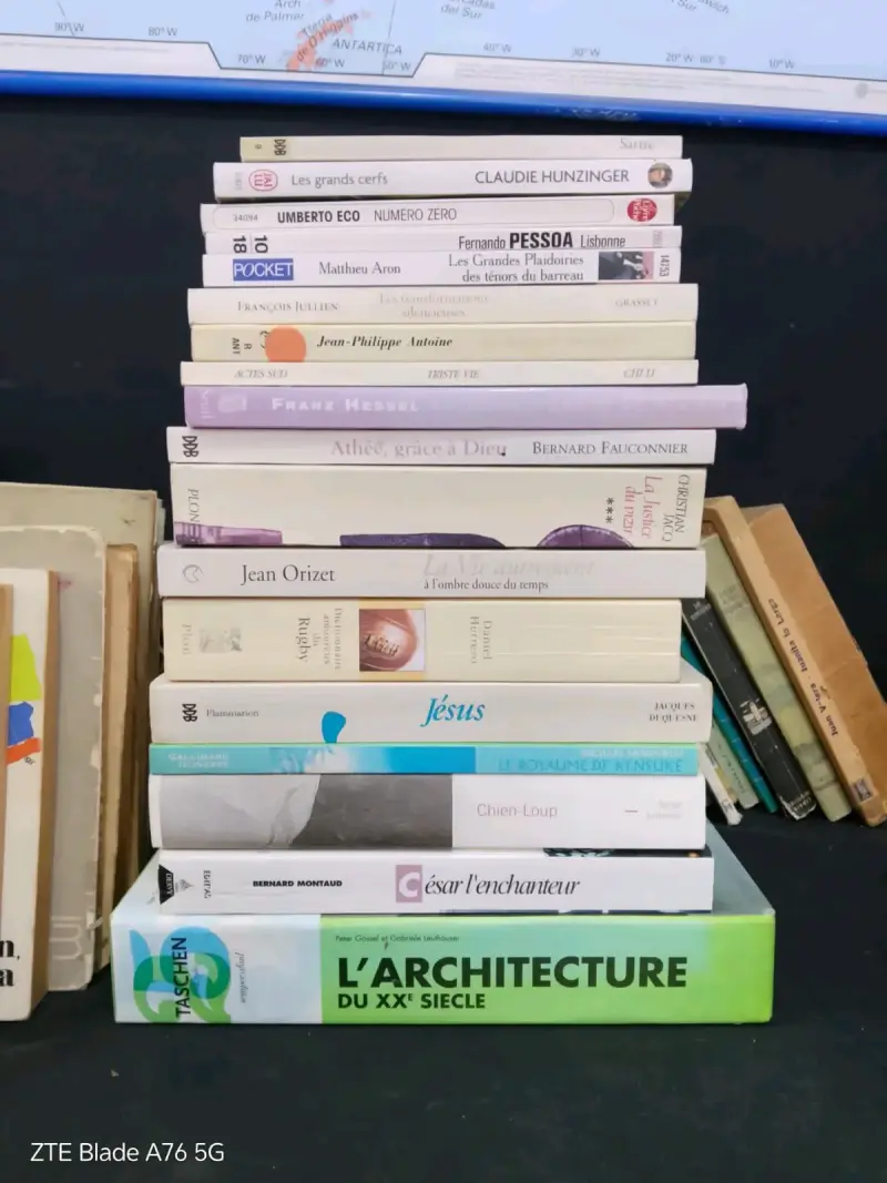 Lote de libros variados en francés