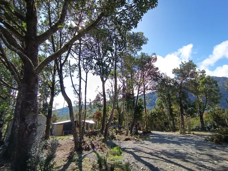 Cabaña con terreno, entorno natural - 4