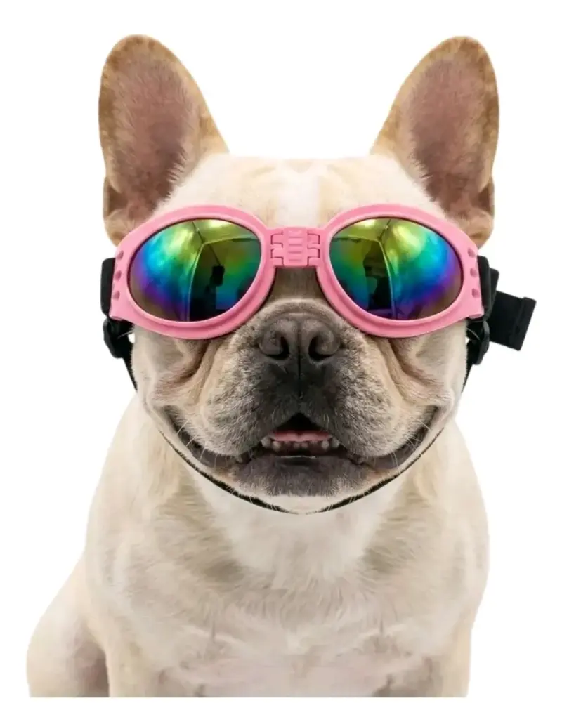 Gafas de Sol para Perros Rosadas - 2