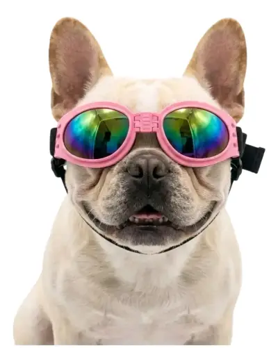 Gafas de Sol para Perros Rosadas - miniatura 2