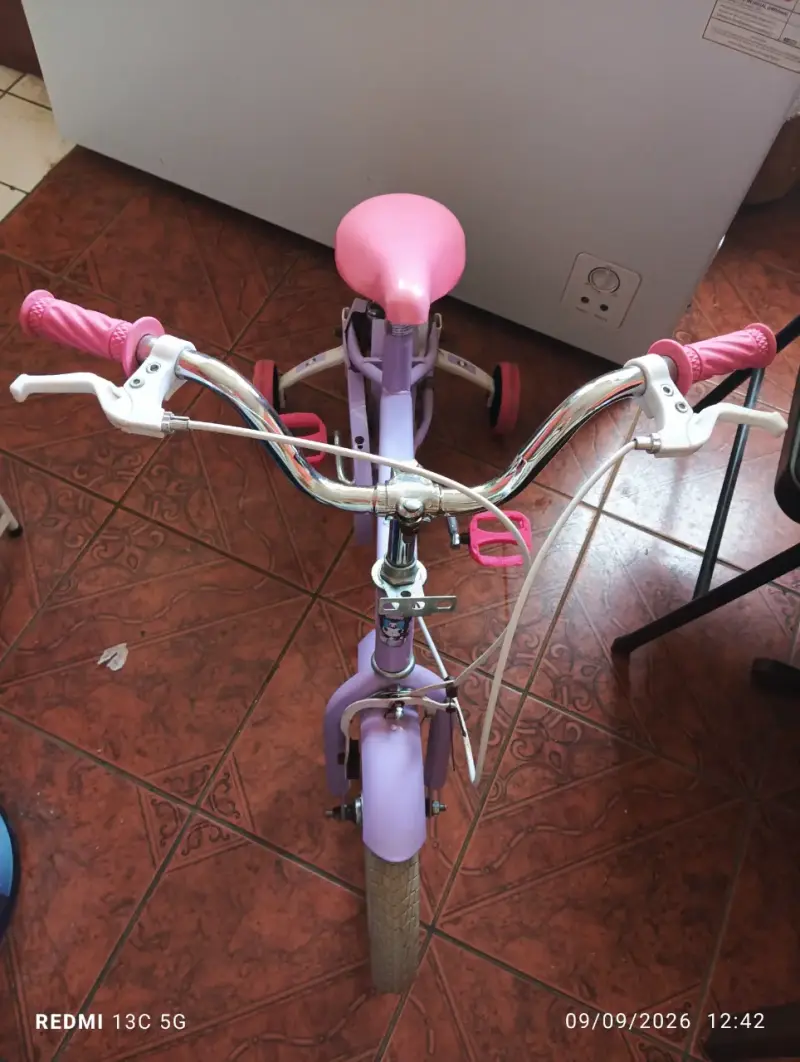 Bicicleta infantil morada con ruedas de apoyo - 3