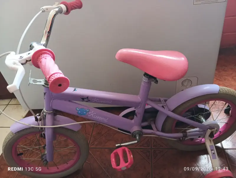 Bicicleta infantil morada con ruedas de apoyo - 5