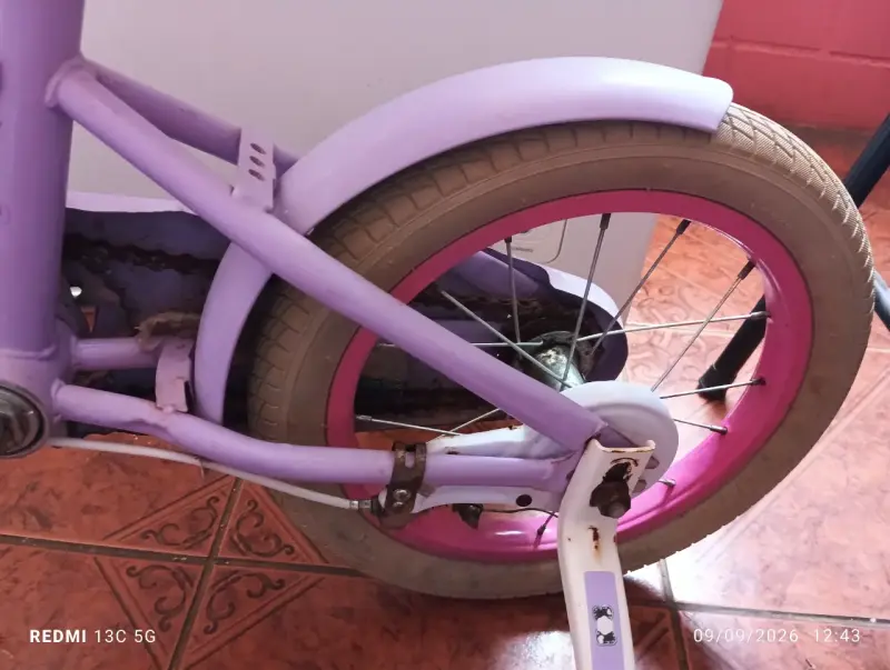 Bicicleta infantil morada con ruedas de apoyo - 6