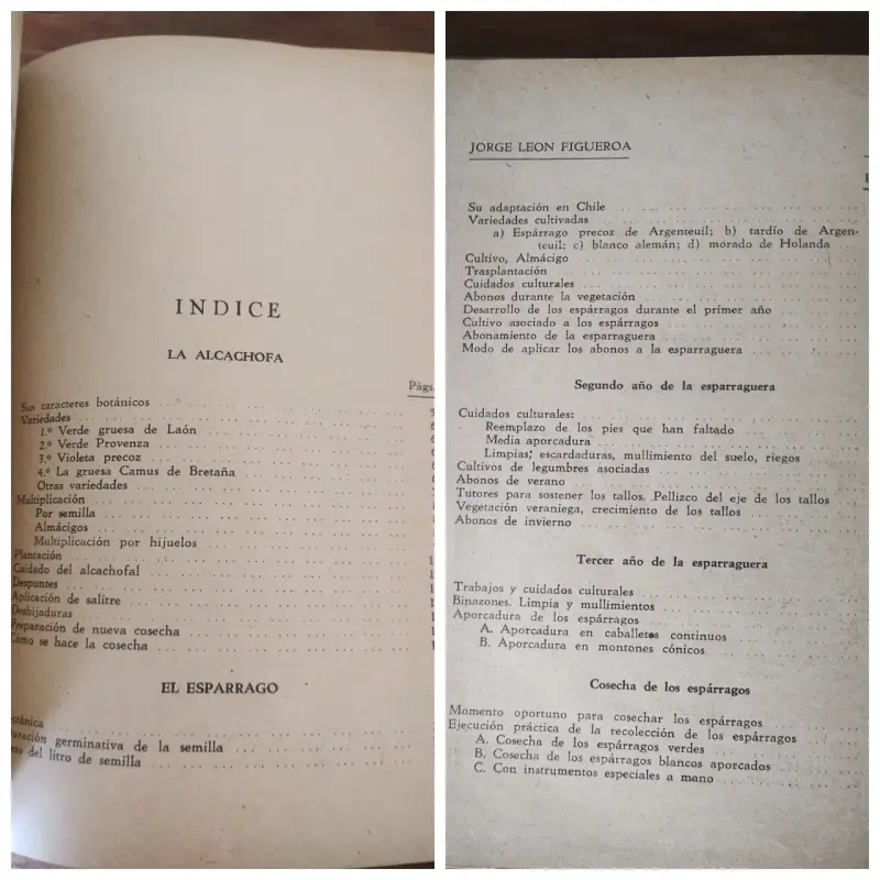 Libro sobre cultivo de alcachofas y espárragos - 3