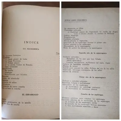 Libro sobre cultivo de alcachofas y espárragos - miniatura 3