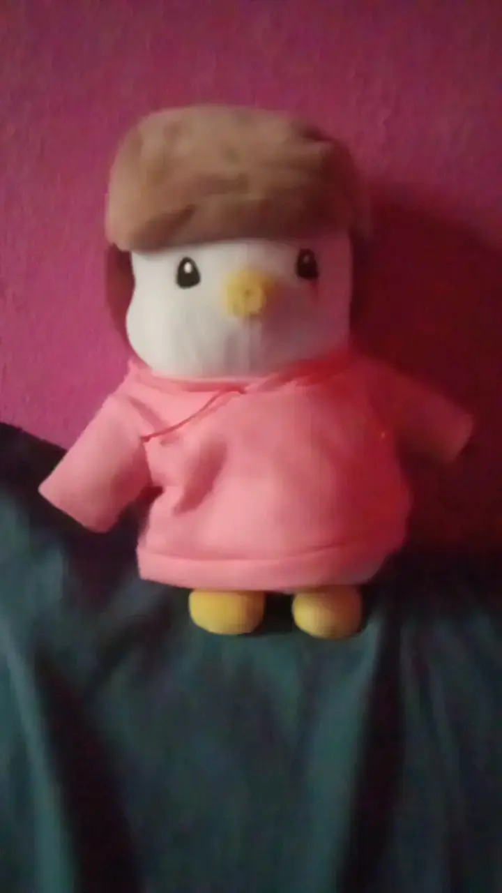 Pingüino de peluche con vestimenta - 1