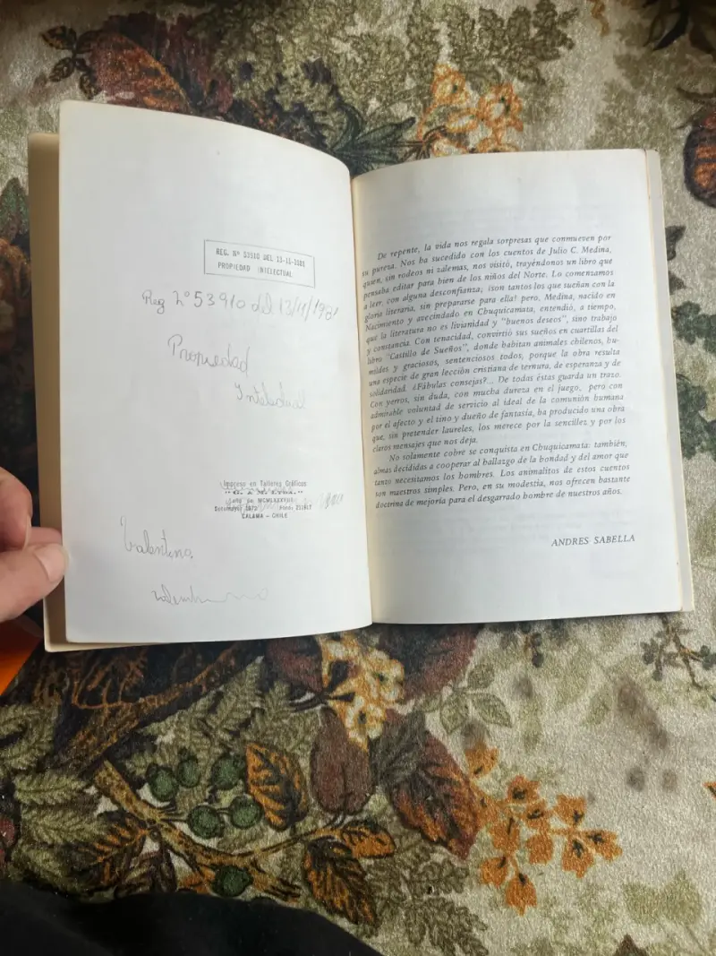 Libro Castillo de Sueños de Julio Cesar Medina Oñate - 2