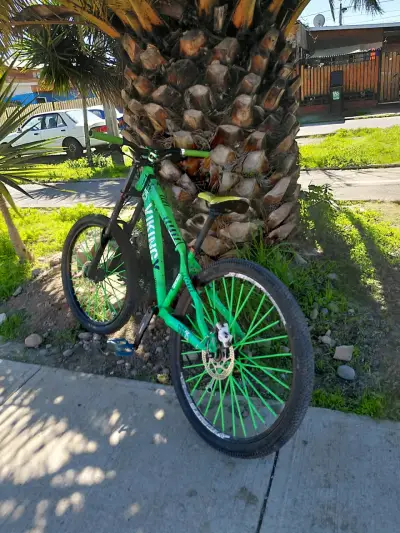 Bicicleta de montaña verde Viking en buen estado - miniatura 1