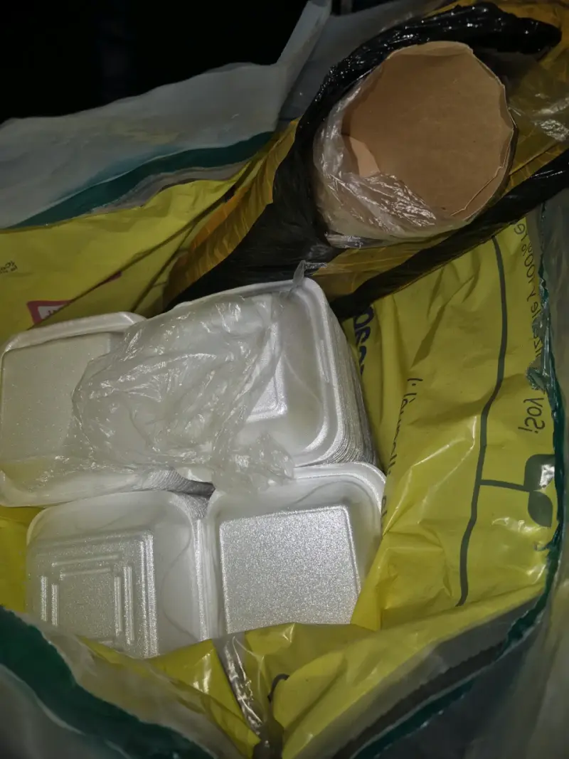 Set de envases desechables para alimentos - 1