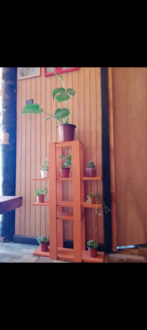 Estante de Madera para Plantas Interior - 1
