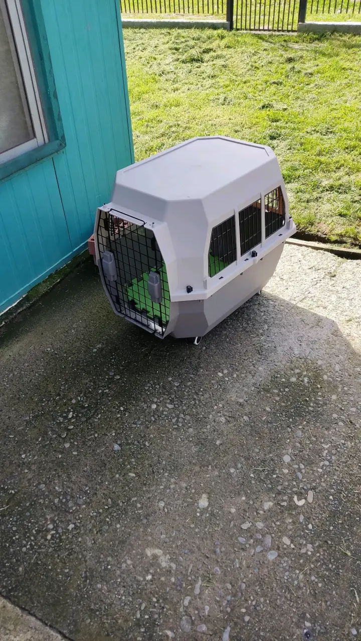 CANIL DE TRANSPORTE DESMONTABLE M-PETS TRANSIT - 1