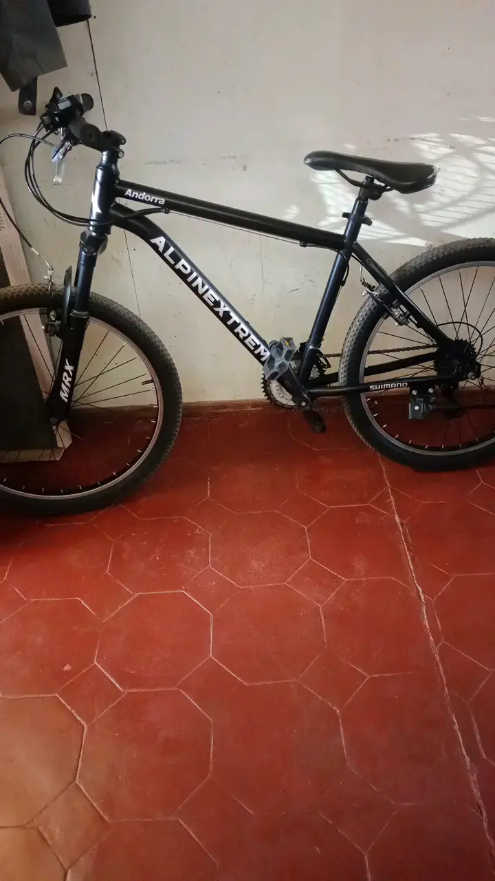 Bicicleta Alpina Negra de Montaña - 1