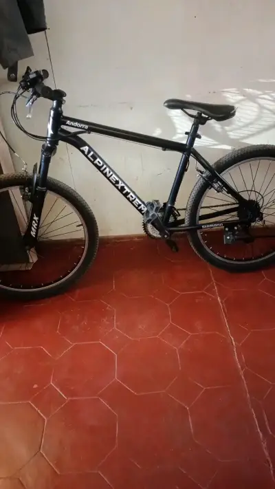 Bicicleta Alpina Negra de Montaña - miniatura 2