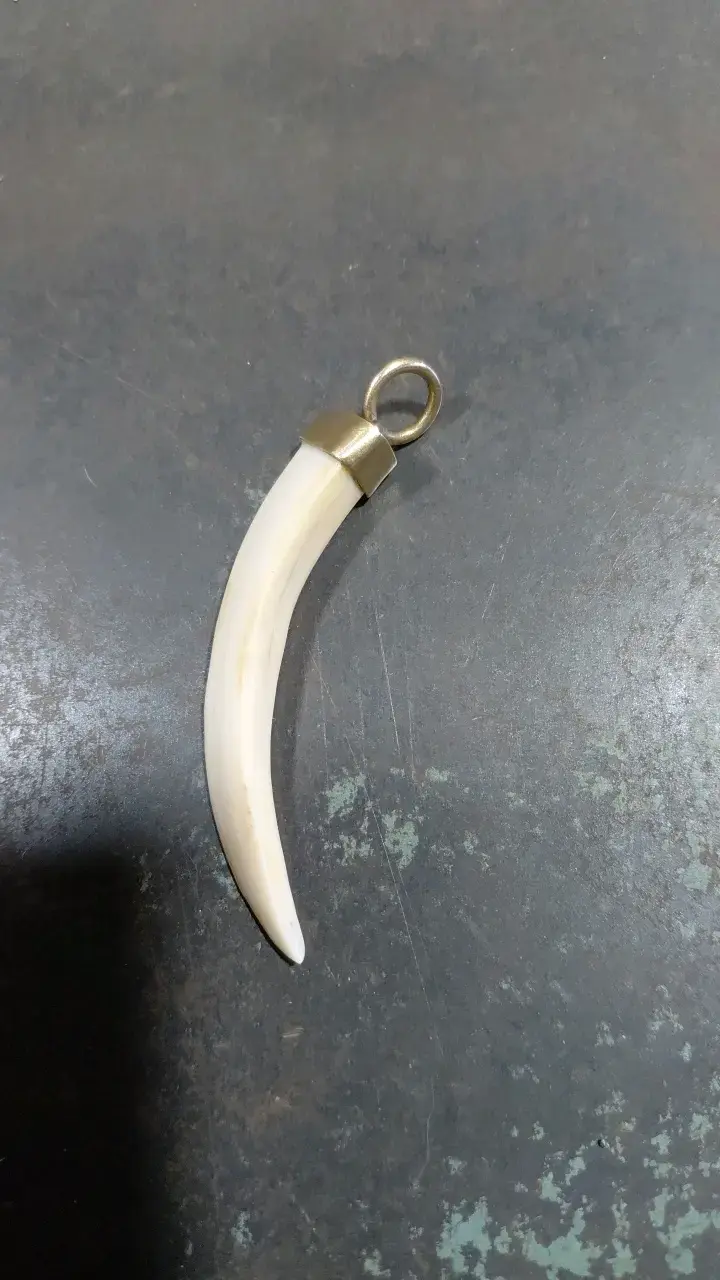 Colgante de colmillo con engaste - 1