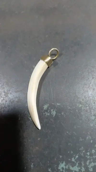Colgante de colmillo con engaste - miniatura 1