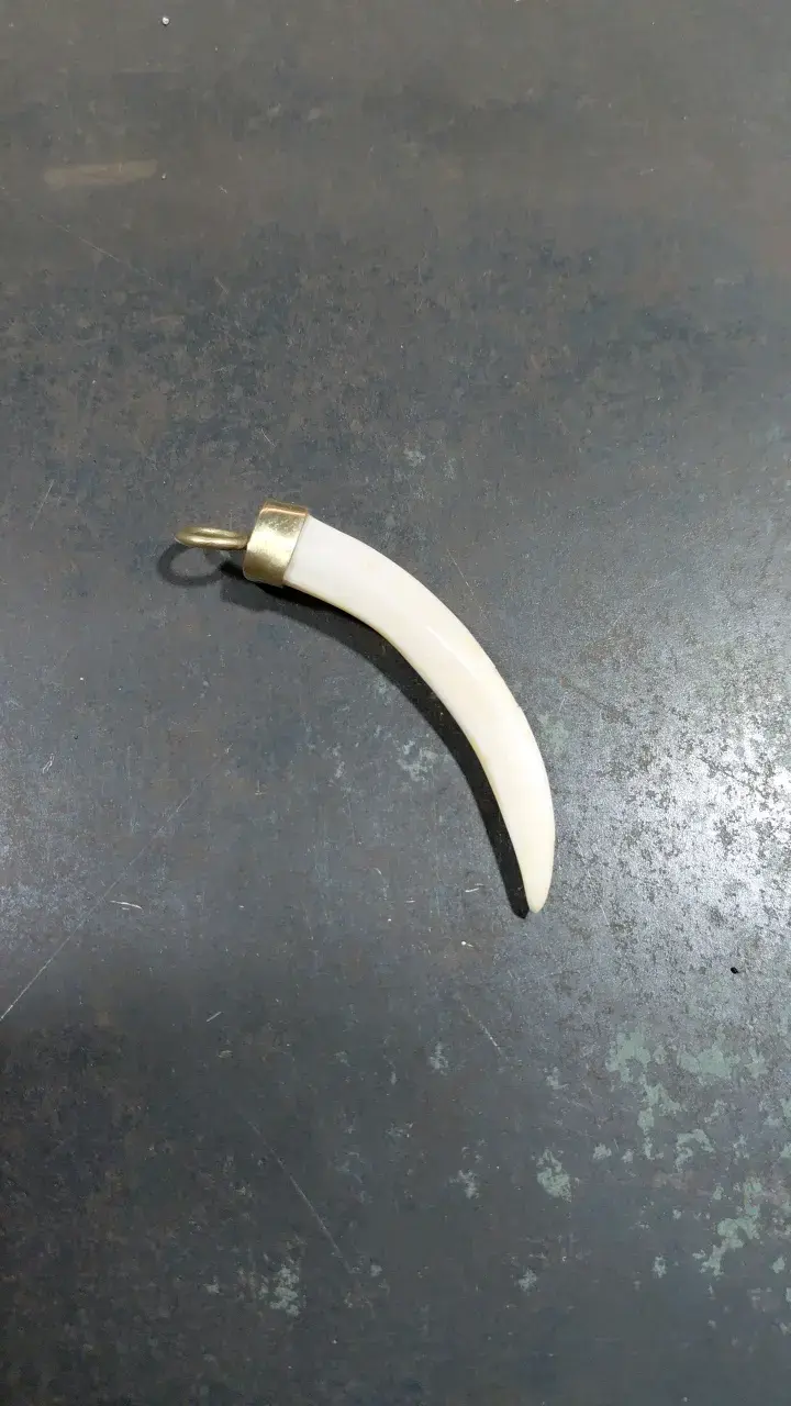 Colgante de colmillo con engaste - 2