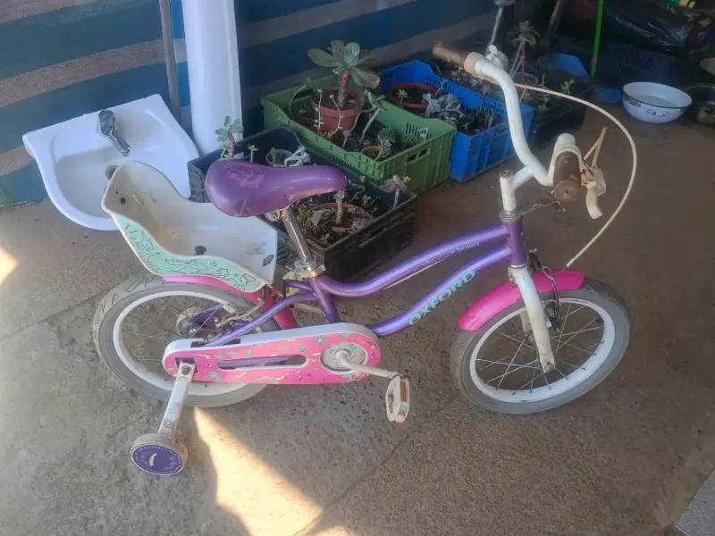 Bicicleta infantil Oxford aro 16 morada - 2