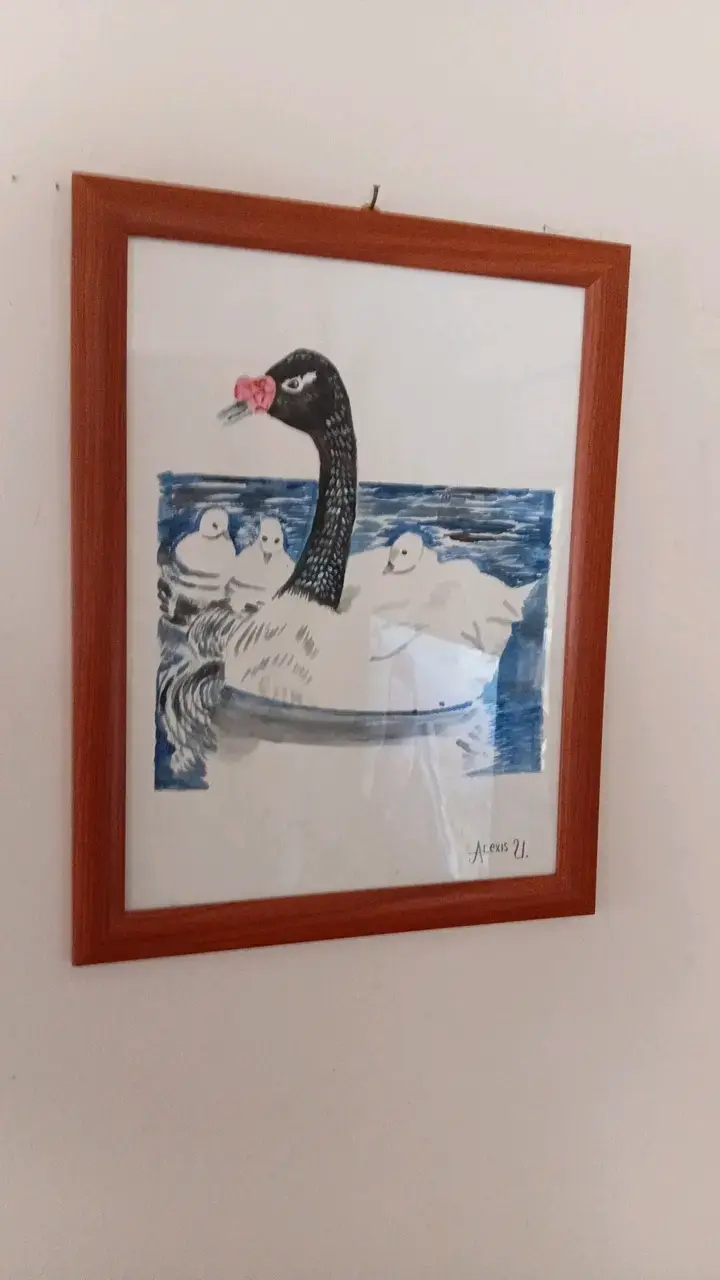 Cuadro con marco de madera cisne negro