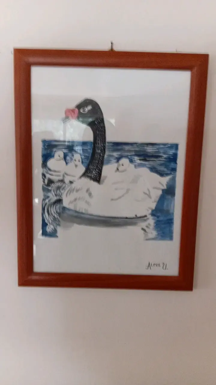 Cuadro con marco de madera cisne negro - 2