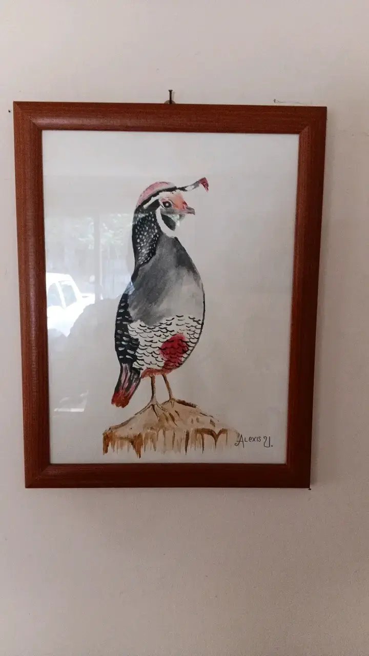 Cuadro de pintura de codorniz enmarcado