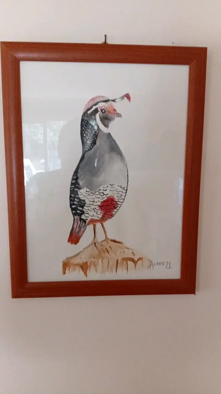 Cuadro de pintura de codorniz enmarcado - 3