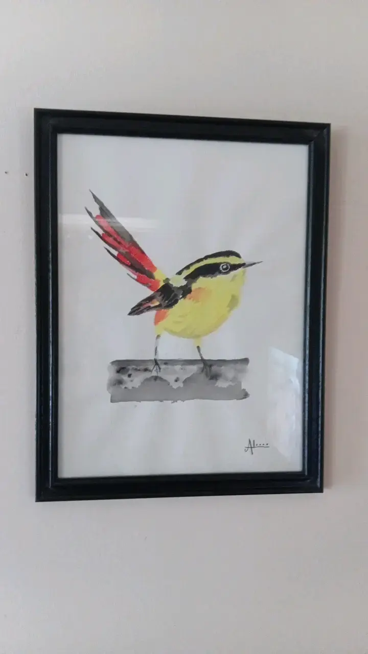 Cuadro Decorativo de Pájaro en Acuarela - 3