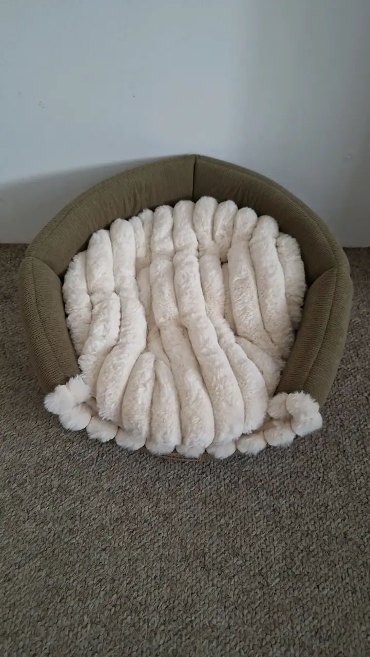 Cama para mascotas Petizoos con cojín removible - 2