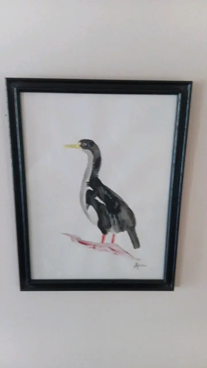 Cuadro de arte con ave en acuarela