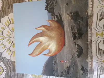 Vinilo del homónimo de Audioslave - miniatura 1