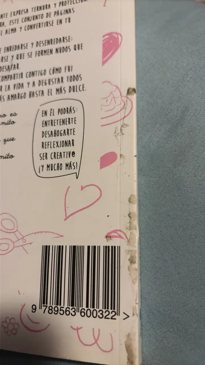 Libro 'Besito en la Frente' de Valentina Villagra - 2