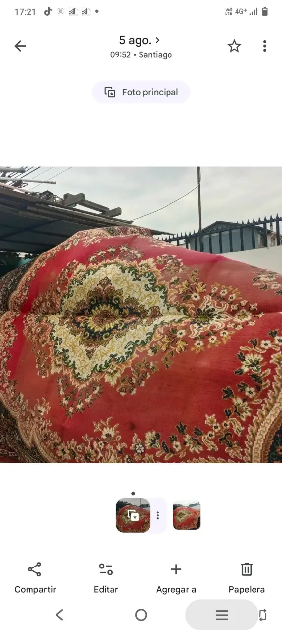 Alfombra persa roja con diseño floral