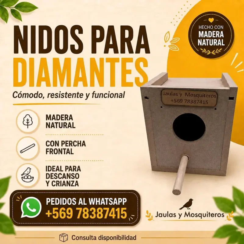 Nidos para Aves. - 3