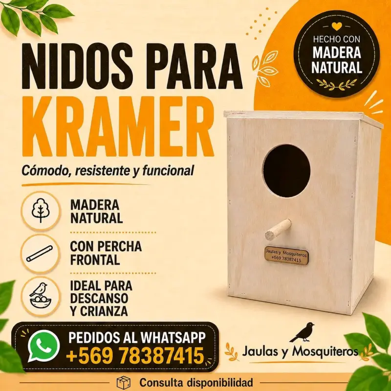Nidos para Aves. - 5