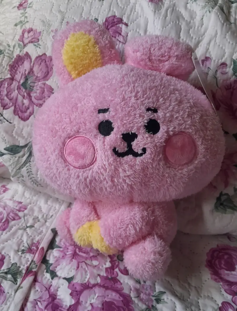 Peluche Line Friends BT21 - Cooky - 2