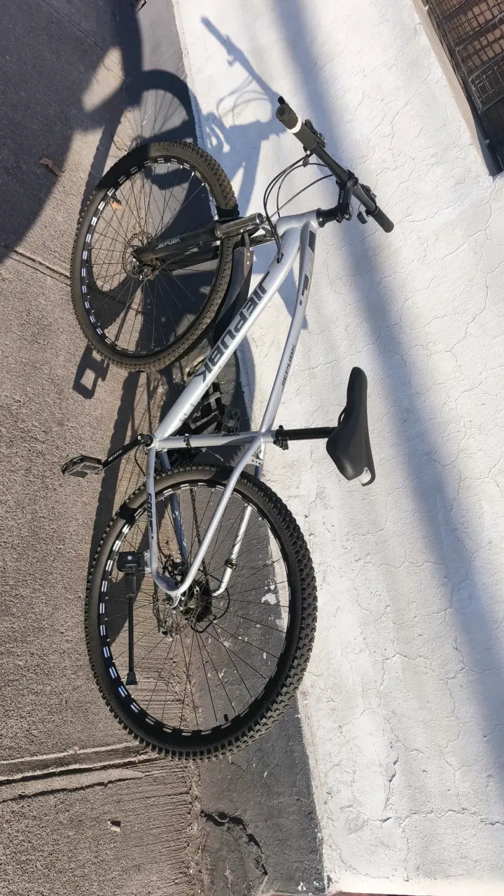 Bicicleta de montaña Jeepduk gris - 1
