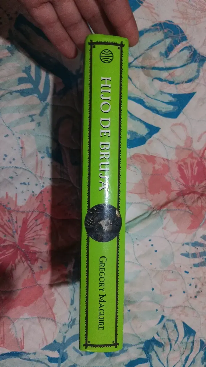 Libro 'Hijo de Bruja' de Gregory Maguire - 2