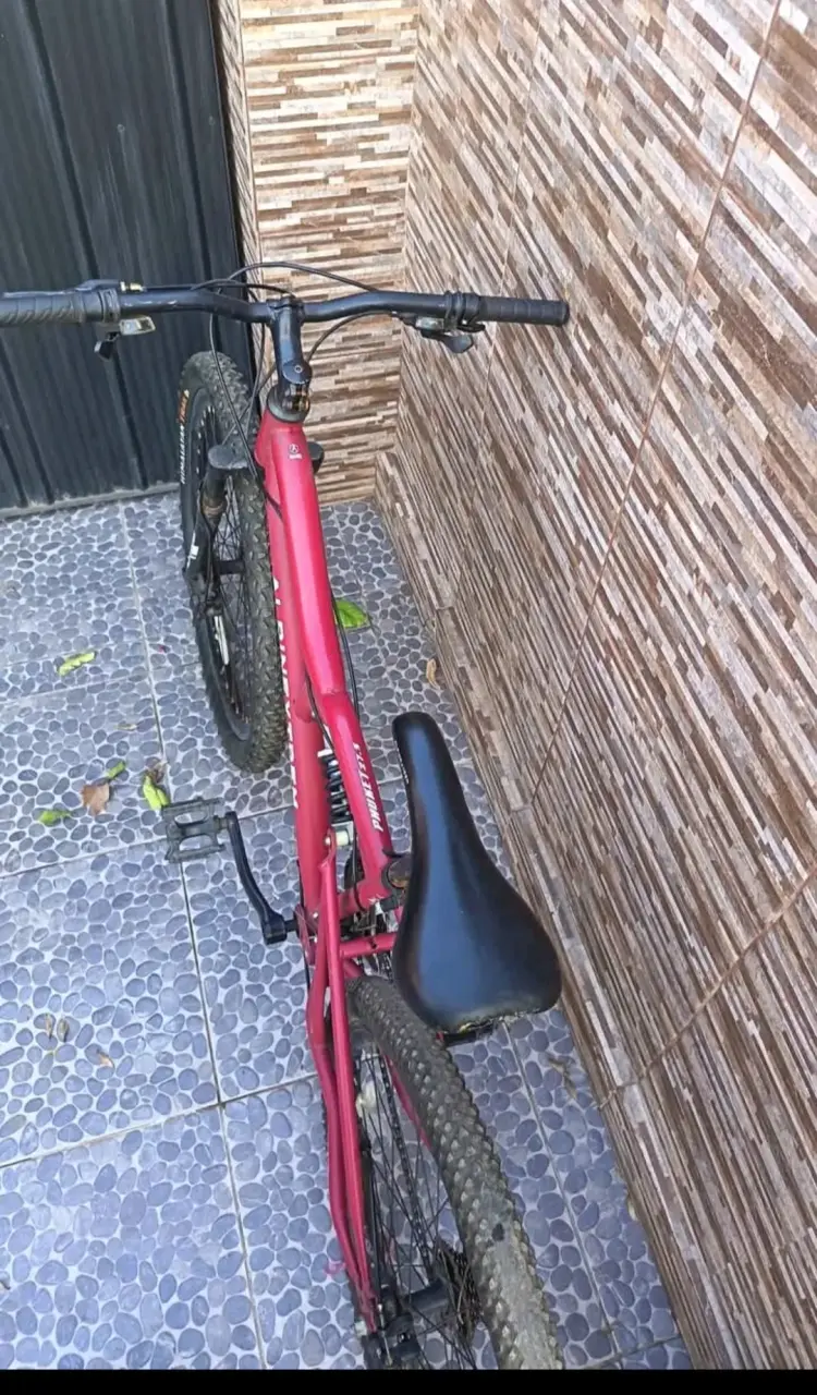 Bicicleta de montaña Alpinextrem roja - 2
