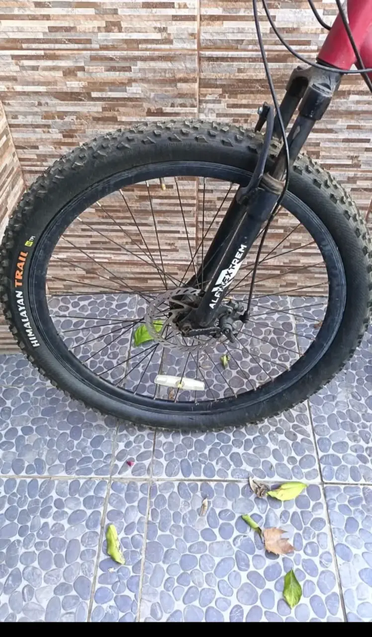 Bicicleta de montaña Alpinextrem roja - 5