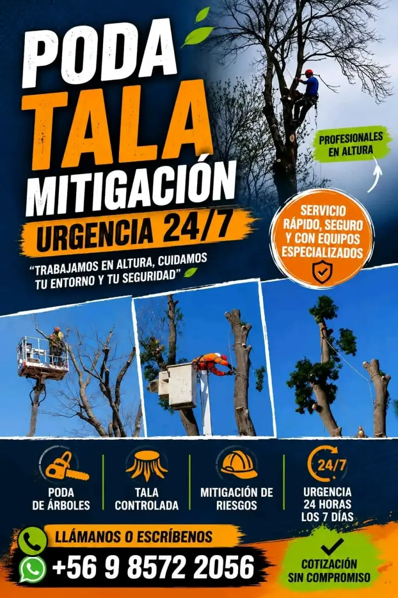 Profesional a cargo de PODA TALA 24/7 URGENCIAS - 1