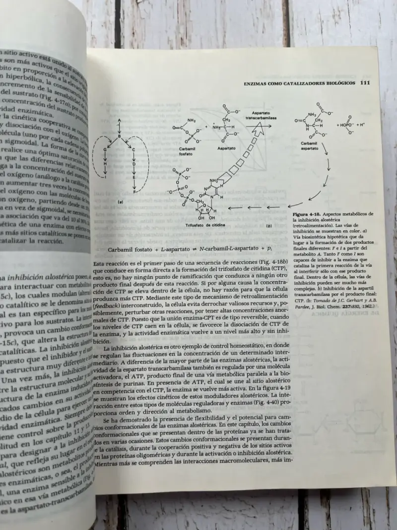 Libro Biología Celular Segunda Edición Gerald Karp - 5