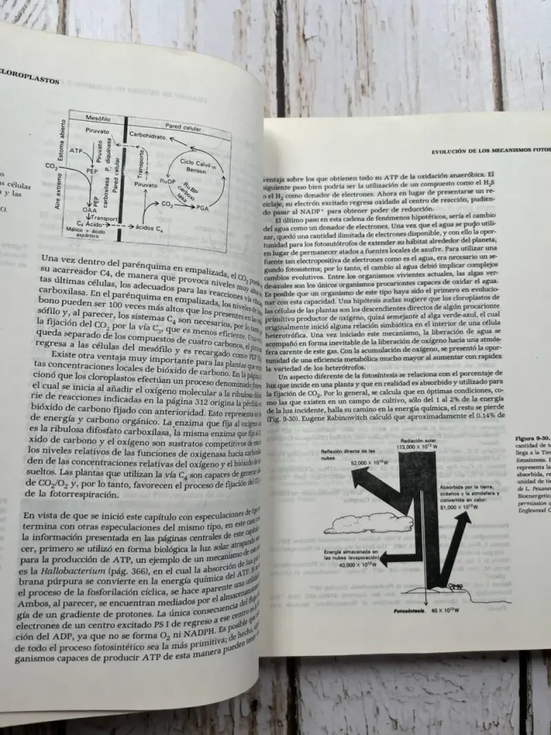 Libro Biología Celular Segunda Edición Gerald Karp - 6