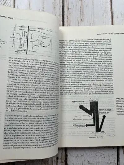 Libro Biología Celular Segunda Edición Gerald Karp - miniatura 6
