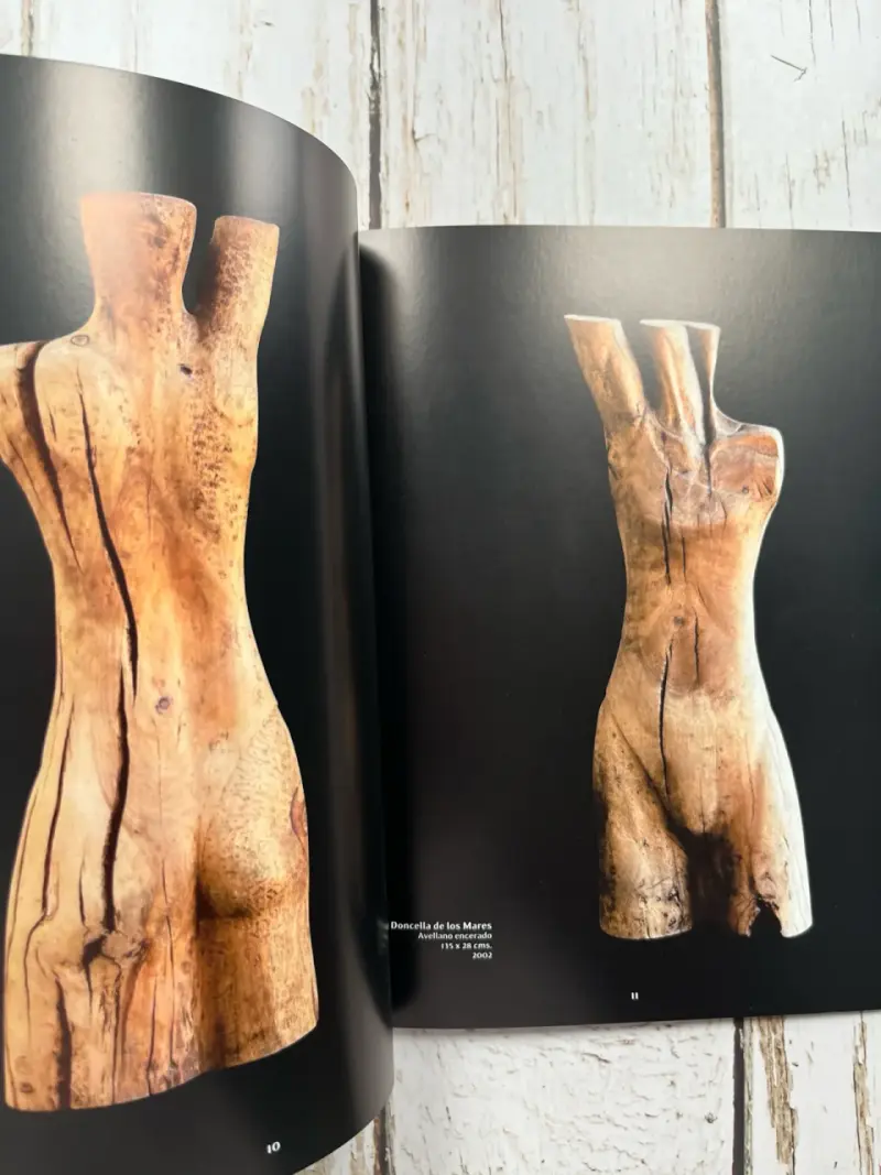 Libro de arte Alberto Maffei / esculturas / 2005 - 4