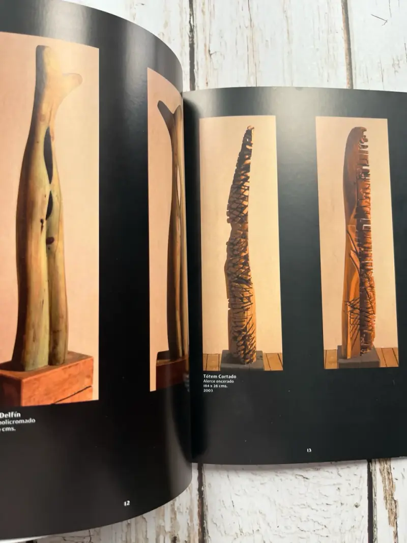 Libro de arte Alberto Maffei / esculturas / 2005 - 5