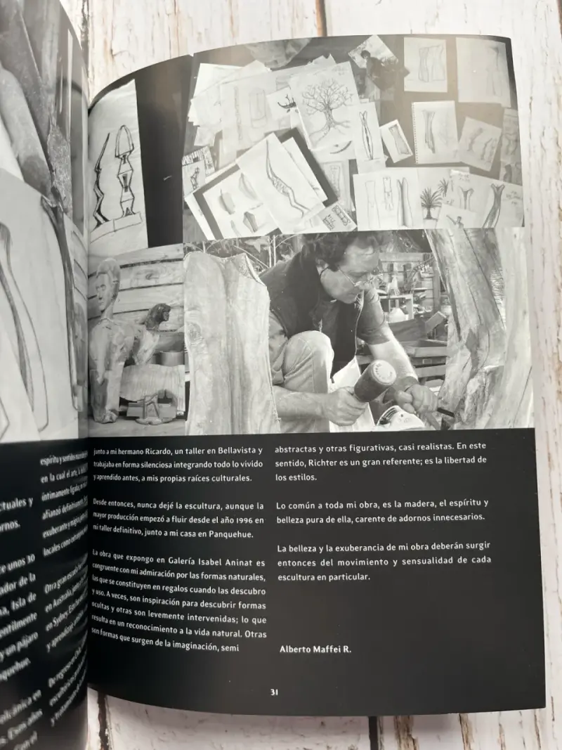 Libro de arte Alberto Maffei / esculturas / 2005 - 6