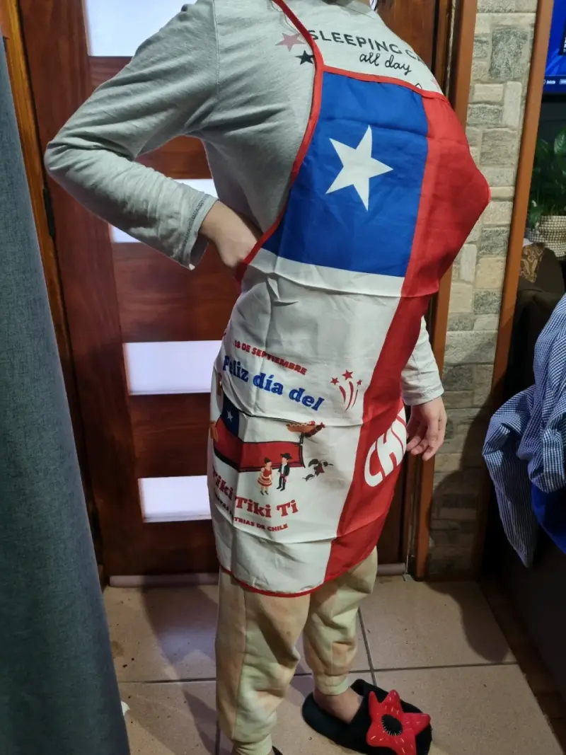 Delantales dieciocheros Nuevos - 2