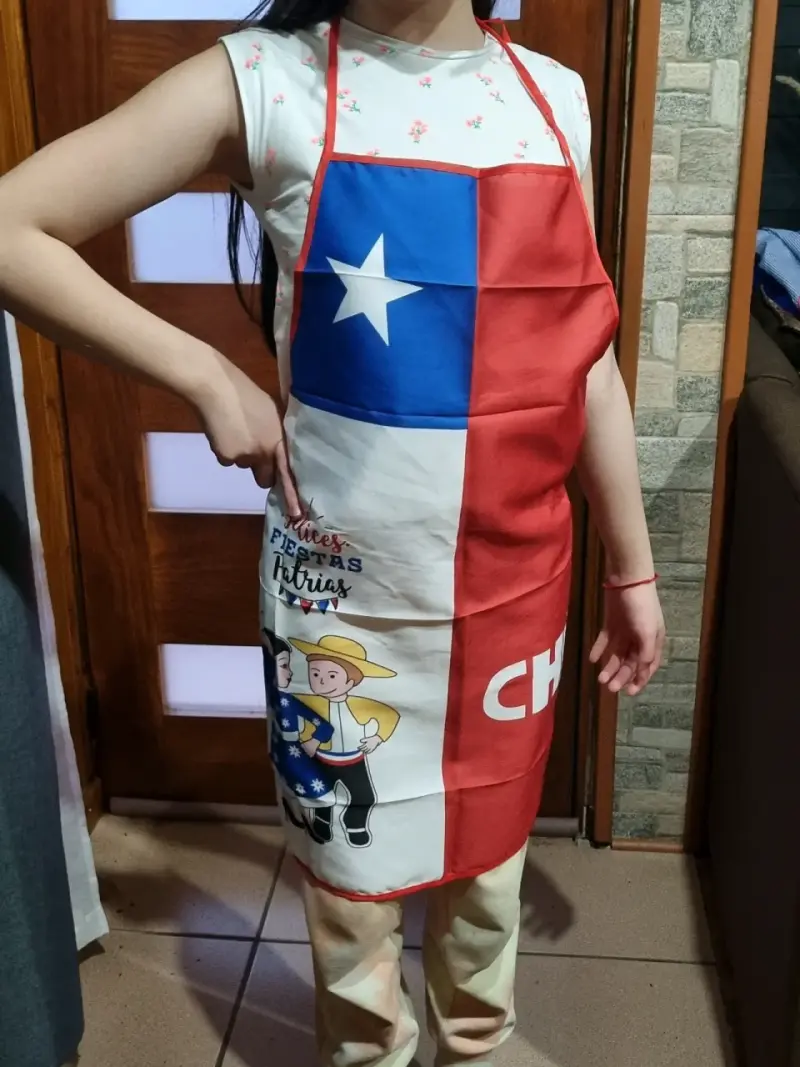 Delantales dieciocheros Nuevos - 3