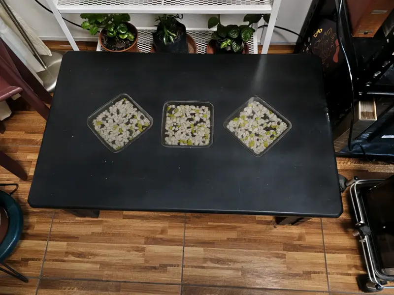 Mesa de centro negra con espacio para decorar. - 2