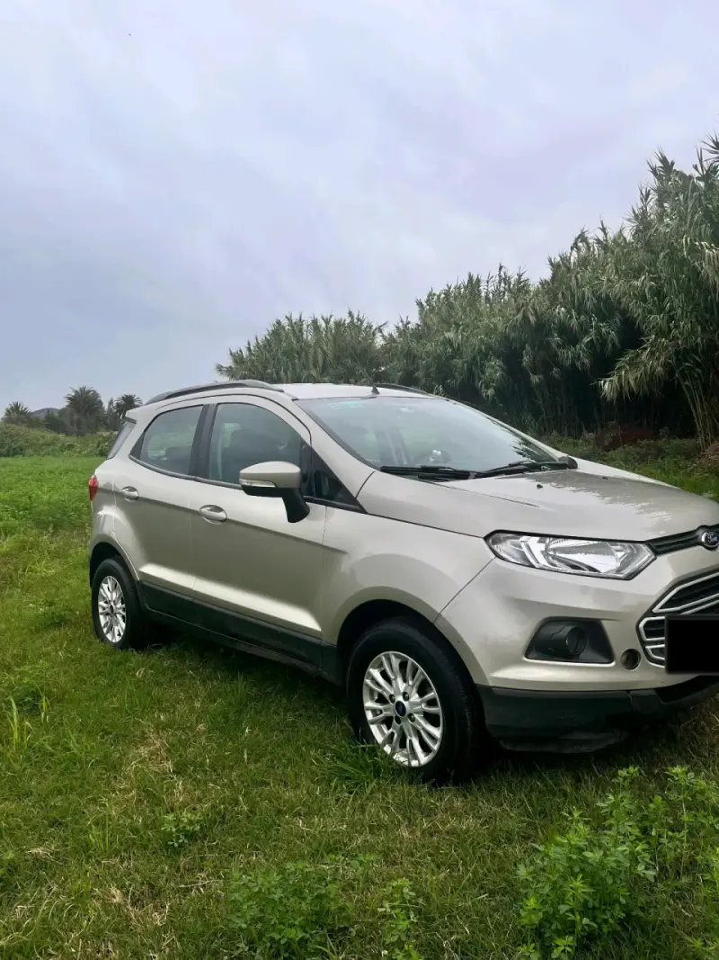 Ford EcoSport SUV en buen estado - 2